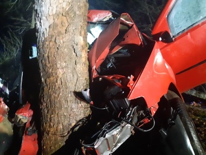 czerwony samochód wbity w drzewo