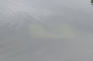 dach ciągnika pod wodą