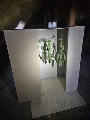 box z suszem