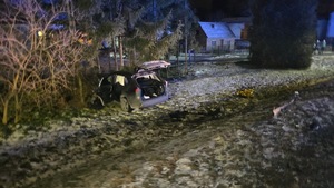 Pojazdy uczestniczące w wypadku