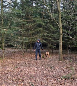 Wspólne patrole Policji i Straży Leśnej