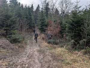 Wspólne patrole Policji i Straży Leśnej