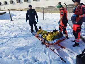 pomoc udzielana przez dzielnicowych oraz inne służby