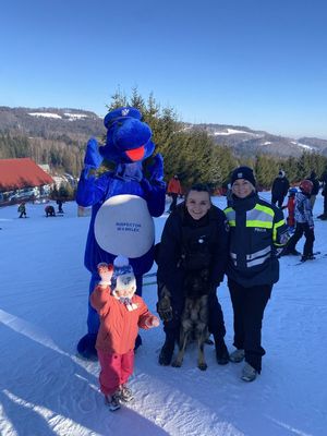 Zimowy Piknik na Jurasówce