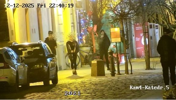 wizerunek sprawcy kradzieży