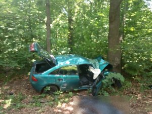 Zdjęcie przedstawia prawy bok samochodu mazda koloru zielonego która jest wbita w drzewo.