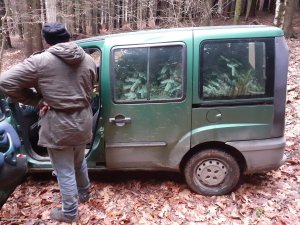 Zielony samochód Fiat Doblo, przed którym stoi mężczyzna obrócony plecami. W samochodzie widoczne gałęzie jodłowe