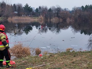 Strażak w zbiorniku wodnym, Drugi strażak asekuruje go na linie z brzegu