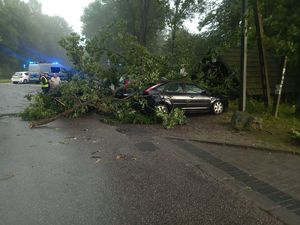 dwa samochody osobowe na których lezy konar drzewa liściastego. Z tyłu radiowóz policyjny, oraz policjant.